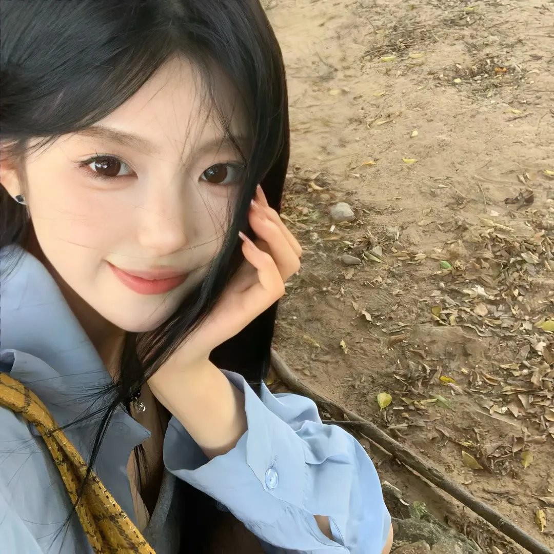 爱在飞